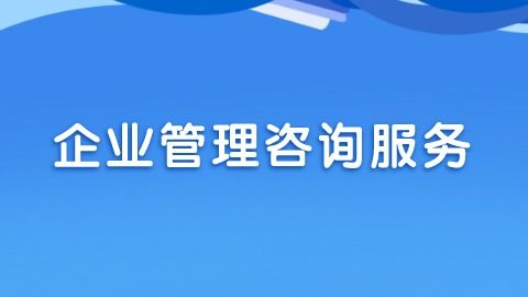 企业管理咨询主要分为哪些类型